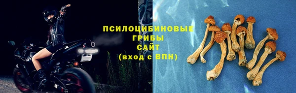 спайс Каменка