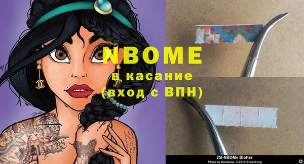 спайс Каменка