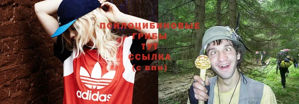 спайс Каменка