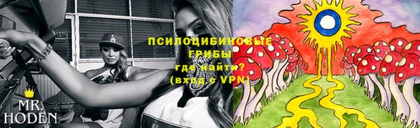 дживик Каменск-Шахтинский