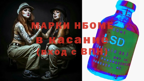 спайс Каменка