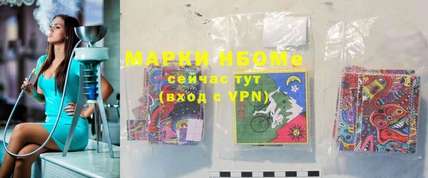 спайс Каменка