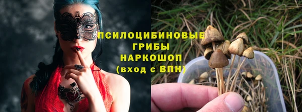 гидра Инсар